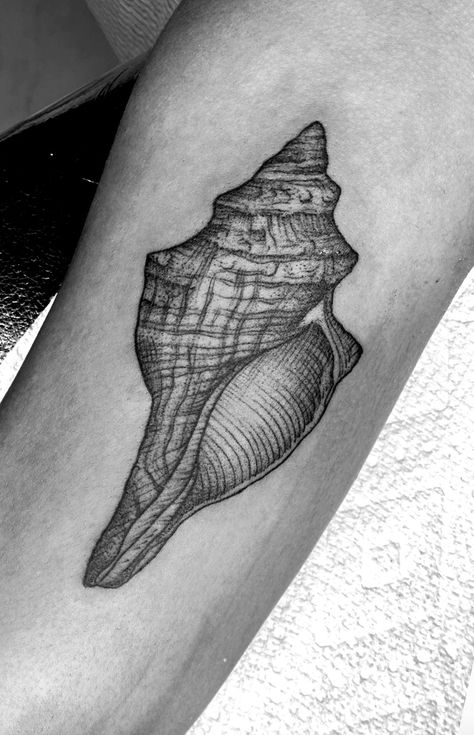 Conch seashell, fineline shell tattoo Black and grey Horse Conch Shell Tattoo, Conch Tattoo Shell, Conch Tattoo, Conch Shell Tattoo, Tattoo New York, Ocean Tattoo Ideas, Seashell Tattoo, Shell Tattoo, Conch Seashell