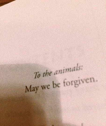 to the animals: may we be forgiven. Fina Ord, Vegan Quotes, Anti Aging Food, Vegan Life, What’s Going On, The Animals, Going Vegan, Pretty Words, The Words