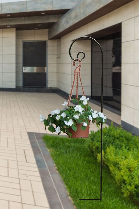 Shepherd Hook will adds elegance and beauty to your garden. These hooks have an outstanding shine and look stunning in almost any garden landscape.
#shepherdhook #hooks #gardenhooks #hook #shepherdhooks Shepards Hook, Garden Hooks, Plant Hooks, Shepherds Hook, Garden Animals, Plant Basket, Hanging Lanterns, Lawn Garden, Solar Lights