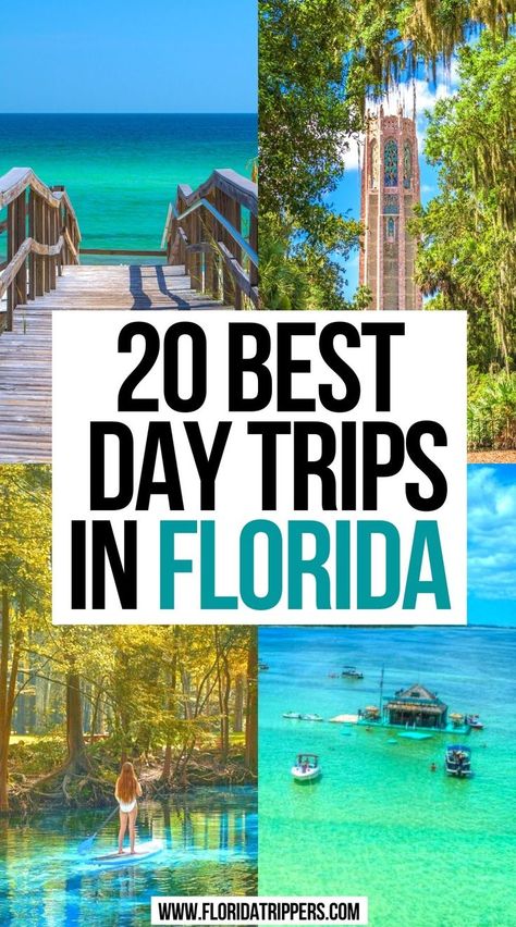 Best Day Trips in Florida Best Places In Florida To Vacation, Florida Day Trips For Couples, Florida Road Trip Ideas, Florida Day Trips, Trips For Couples, Places To Visit In Florida, Florida Trips, Florida Vacation Spots, Travel Places To Visit