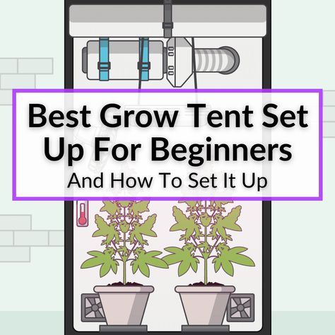 Grow Tent Setup, Grow Room Ideas Indoor, Plant Training, Best Grow Lights, Indoor Grow, Diy Tent, Grow Boxes, Tent Set Up, Hydroponic Growing