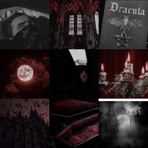 Red Vampire Aesthetic, Vampire Background, Dracula Aesthetic, Vampire Room, Sodo Ghoul, Hellsing Ultimate Anime, Vampire Aesthetic, Walpaper Hello Kitty, Goth Wallpaper