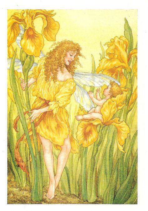 From lin_leiden for the Dutch July RR. The Flower Fairies, Flower Fairies Books, Flower Poem, Fairy Vintage, Fairy Paintings, Cicely Mary Barker, Fairy Artwork, Art Society, Vintage Fairies