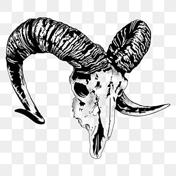 sculptures,horns,skull,ram,vector,sketch,horn,sheep,bighorn,illustration,animals,logo,logo vector,skull vector,sheep vector,sketch vector,ram vector,horn vector,lamb,sheep cartoon Rams Skull Drawing, Lamb Skull Tattoo, Ram Skull Side View, Big Horn Sheep Skull, Drawing Horns, Horns Drawing, Horn Illustration, Skull Side View, Mask Reference