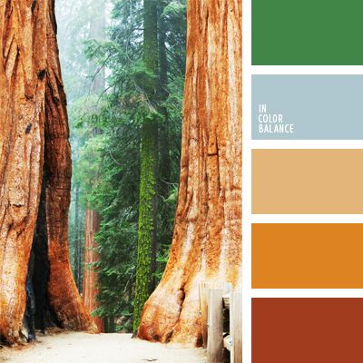 This palette can be used in the repair of apartments, as well as for planning your wardrobe. These colours will look good both in the apartment and on a gr. Redwood Color Palette, Color Palette With Wood, Interior Paint Colors For Living Room, Flat Bedroom, Redwood Trees, Orange Color Palettes, Forest Color, Red Colour Palette, Business Colors