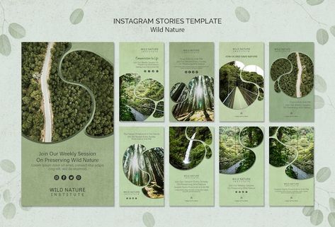 Startup Illustration, Instagram Banners, Brochure Design Layouts, Nature Story, Template Background, Desain Editorial, About Instagram, Nature Instagram, Background Template