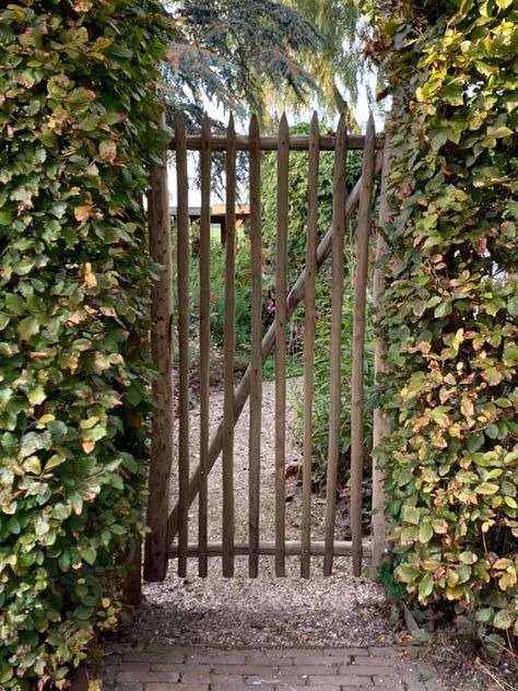 Rustic Garden Arch, Gate In Hedge, Rustic Garden Gates, Beech Hedging, Cottage Gate, Old Garden Gates, Rustic Gate, Patio Yard Ideas, Bamboo Garden Fences