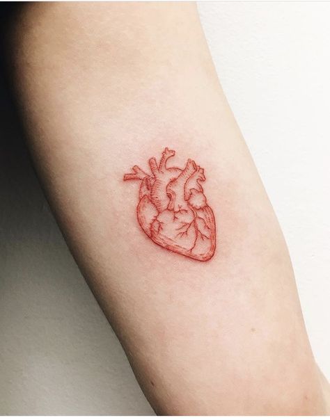 Real Heart Tattoos, Human Heart Tattoo, Red Heart Tattoos, Anatomical Heart Tattoo, Petite Tattoos, Tatuaje A Color, Heart Tattoo Designs, Red Tattoos, Classy Tattoos