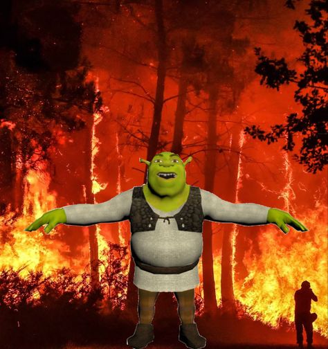 Who set the forest on fire?!!??!!?!! Fire Reaction Pic, Harmony Core, Funny Fire, Burning House, Funny Reaction, Forest Fire, Funny Reaction Pictures, Dark Anime, One Piece Anime