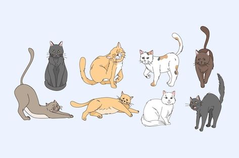 Cats Stretching, Brown Cats, Cat Stretching, Brown Cat, Enjoying Life, Cityscape Photos, Logo Banners, Card Banner, Cat Sitting