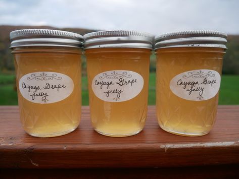 Grape Pepper Jelly, White Grape Jelly Recipe Canning, White Grapes Recipes, White Grape Recipes, White Grape Jelly Recipe, Green Grape Jelly Recipe, Make Grape Jelly, Grape Jelly Recipe, Grape Jam Recipe