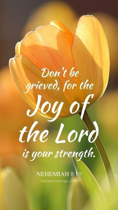 Nehemiah 8:10 NIV "Do not grieve for the joy of the Lord is your strength." The Joy Of The Lord, Bible Verse Background, Wallpaper Iphonewallpaper, Bible Quotes Images, Awesome God, Joy Of The Lord, Scripture Pictures, Encouraging Bible Verses, Health Nut