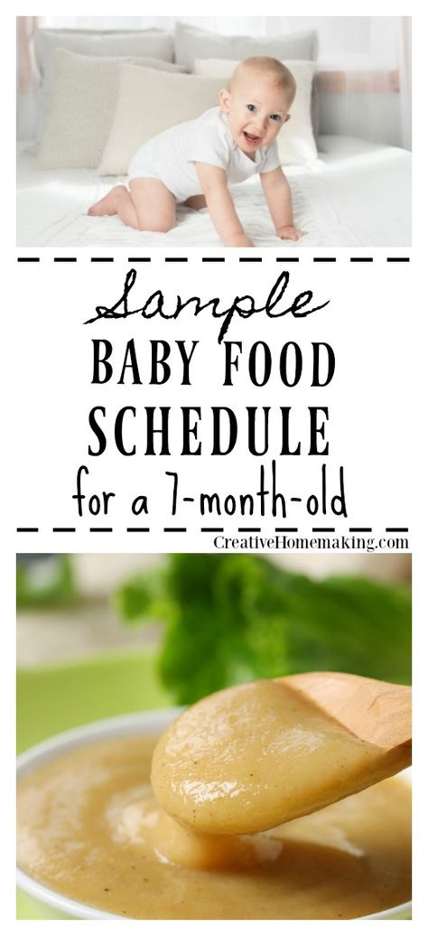 7 Month Old Food, 7 Month Old Baby Food, Food Schedule, 7 Months Baby Food, Baby Meal Plan, Baby Food Schedule, 7 Month Baby, Baby Dinner, Meal Schedule