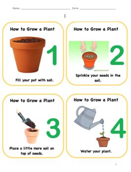 This is great to use when differentiating instruction. You can provide these how to grow a plant cards for students to read or visually look at during your planting activity. I laminated mine and used these plant cards in centers/stations for the students to follow step by step instructions when planting seeds. How To Plant Seeds, Seed Planting For Kids, Plant Activities For Preschool, Planting Flowers From Seeds, Differentiating Instruction, Flower Making Tutorial, Plant Cards, Plants Kindergarten, Montessori Crafts