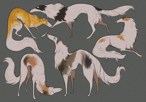 Long bois, Borzois #artistoninstagram #characterdesign #character #art #digitalart #dog #illustration Character Design Cartoon, Canine Art, Dog Illustration, Animal Sketches, Dog Drawing, Creature Art, 귀여운 동물, Art Reference Photos, Anime Comics