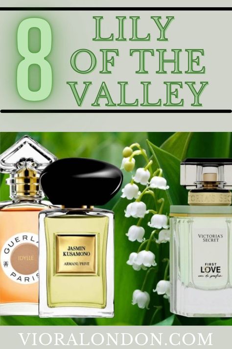 best Lily of the Valley Perfumes Lily Of The Valley Perfume, Iris Perfume, Perfume Wishlist, See View, Perfumes Collection, Winter Perfume, Essential Oil Perfumes Recipes, Unique Perfume, Homemade Perfume