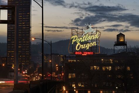 From downtown Portland all the way up to the Portland Aerial Tram, here are the top 11 things to do in Portland, Oregon. Portland Skyline, Downtown Portland, Oregon City, Oregon Washington, Willamette Valley, Pacific Coast Highway, Buy Buy Baby, Birds Eye View, City Aesthetic