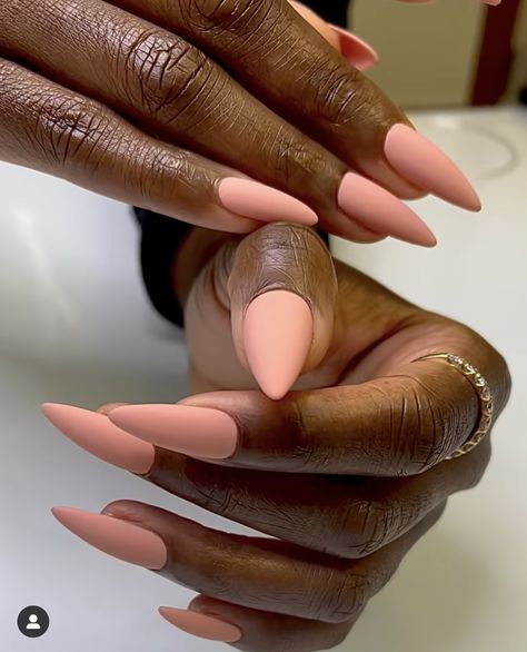 Fall Coral Nails, Girly Acrylic Nails Almond, Plain Matte Nails, Almond Nails Fall Colors Matte, Fall Stilleto Nails Autumn Matte, Matte Neutral Nails Almond, Matte Brown Acrylic Nails Almond, Coffin Dip Nails, Matte Nails Fall