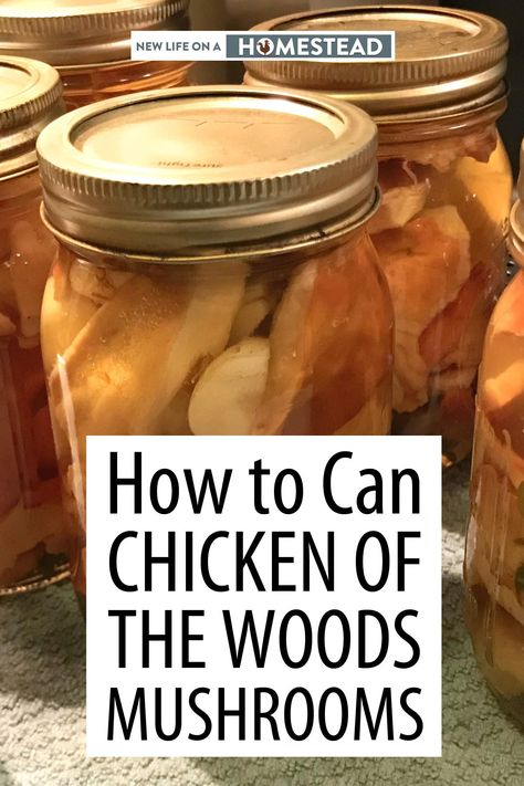 Canned mushrooms are delicious long-term foods, and Chicken of the Woods mushrooms only need to be water bathed. Here's how. #canning #musrooms #selfreliance Wild Mushroom Recipes, Dehydrated Chicken, Growing Mushrooms At Home, Pressure Canning Recipes, Chicken Of The Woods, Can Chicken, Home Canning Recipes, Foraging Recipes, Canning Food Preservation