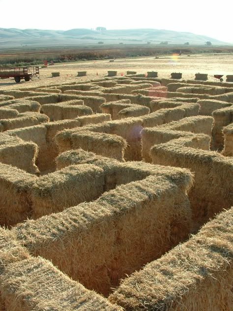 Haybale Gardening, Homestead Business, Agritourism Farms, Hay Maze, Adventure Playground, Playground Ideas, Farm Games, Farm Fun, Harvest Party