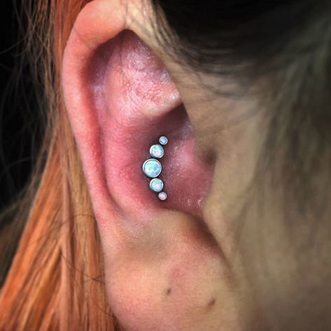 Fresh conch with a white opal cluster from @invictus_bodyjewelry pierced by @mollymaemoon . . #920tattoo #920tattooco #920tattoocompany #downtownoshkosh #oshkosh #oshkoshwisconsin #oshkoshwi #wi #wisconsin #uwo #uwoshkosh #foxvalley #foxvalleytattooing #foxvalleypiercing #invictusbodyjewelry #whiteopal #whiteopals #opal #opals #conchpiercing #conch #piercings #piercing #freshpiercing #freshpiercings Conch Piercings, Conch Piercing, Body Piercings, Body Modifications, Body Mods, White Opal, Conch, Piercing Jewelry, Tattoos And Piercings