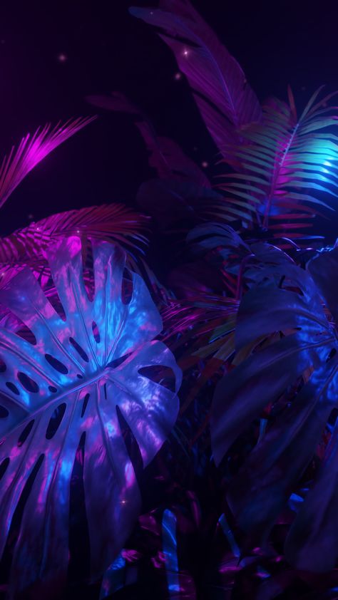 Vertical video Purple and blue neon lights in a dark jungle with tropic plants. Loop animation. Neon Plants, Soul Plane, Jungle Video, Tropical Neon, Dark Jungle, Purple Tropical, 2023 Vibes, Blue Neon Lights, Posters Wallpaper