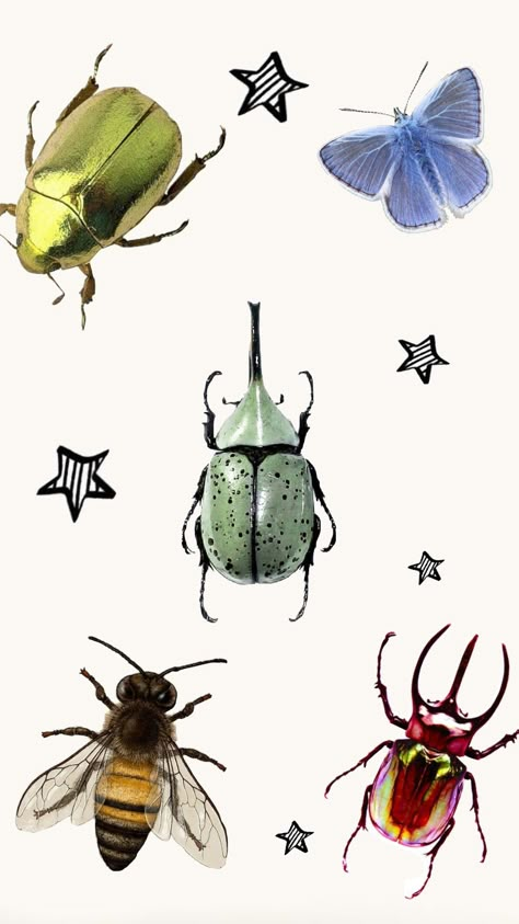 Pinned Bugs Aesthetic, Insects Wallpaper, Bugs Illustration, Insect Wallpaper, Cartoon Insects, Bug Png, Instagram Scrapbook, Wallpapers Abstract, Ant Insect