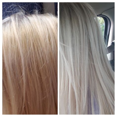 Wella T18 toner, used 1 1/2 months after bleaching and toning. It has turned brassy on me and purple shampoo wasn't doing anything for me, so I toned it again, myself and not professionally, for $85... to this beautiful ice blonde! Toner For Blonde Hair Wella, Wella T18 Before And After Toner, T18 Wella Toner Before And After, T18 Toner Before And After, Wella T18 Before And After, Wella T18 Toner, Toners For Blonde Hair, Wella Hair Toner, Toner For Orange Hair