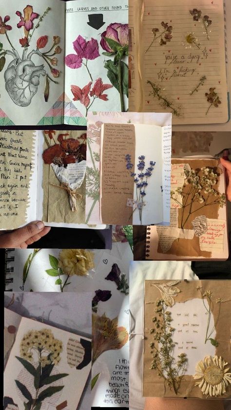 yes Flowers In Journal, Flower Journal Ideas, Flower Journal, Dry Flower, Dry Flowers, Nature Journal, Hand Art Drawing, Hand Art, Journal Ideas