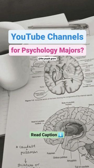 Clinical Psychology Student, Ted Ed, Psychology Course, Happy Studying, Introduction To Psychology, Psychology Courses, Psychology Studies, Psychology Student, Clinical Psychology