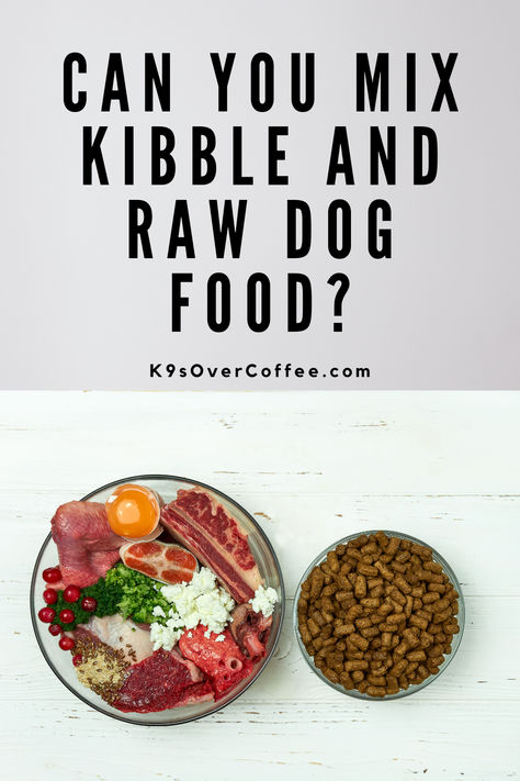 A big bowl of homemade raw dog food next to a smaller bowl filled with kibble. Raw And Kibble Diet, Home Cooked Dog Food, Raw Dog Food, Raw Dog Food Recipes, Raw Diet, Dog Nutrition, Dog Supplements, Pet Stuff, Dry Dog Food