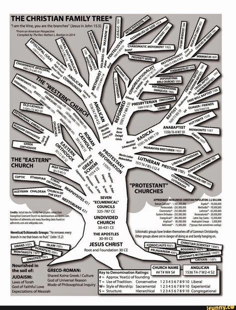 THE CHRISTIAN FAMILY TREE* "Lam the Vine, you are the branches" (Jesus in John 15.5) = *From an American Perspective Compiled by The Rev. Nathan L. Bostian in 2014 C.O.G.1.C. 1897 'DISPENSATIONAL BIBLE CHURCHES 19005 is IS SS $ we yBERAL 0 ANABAPTIST <o 1SBTEW79 MNCANTE pr "ry iREEK Knox ORTHODOX MORAVIAN BRETHREN 1457 Luthey > THE "EASTERN" CHURCH UTHER CHURCH OPIAN 52 SM 1799, S. z Yen! Ons 'hee "PROTESTANT" "ASSYRIAN CHALDEAN CHuRcH OF CHURCHES EAST Nes, "ECUMENICAL 'APPROKIMATE WORLDWIDE CHR Mocking Bird, Study Topics, Tree Diagram, John 15 5, Infographic Map, Christian Traditions, Church History, World Religions, Bible Knowledge