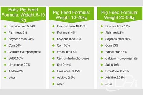 Pig Feed Recipes, Pig Diet, Pig Feed, Raising Farm Animals, Pig Food, Poultry Feed, Formula Feeding, Pig House, Farm Plans