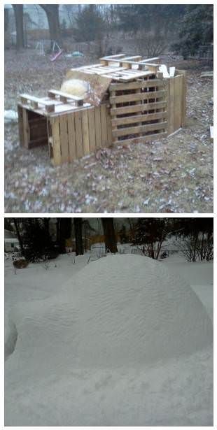 #Igloo, #Outdoor, #PalletShed, #RecycledPallet   Here is a nice before/after. Pallets can be used for anything :) Uppfostra Barn, Casa Hobbit, Yard Fence, 1001 Pallets, Play Ground, Pallet Designs, Wood Building, Snow Fun, Kids Ideas