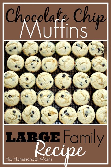 Chocolate Chip Muffins for a large family. I would use berries instead of chocolate but I love that the recipe makes such a large batch. Chocolate Chip Muffin Recipe, Ideas For Breakfast, Breakfast For A Crowd, Homemade Chocolate Chips, Large Family Meals, Filled Muffins, Large Families, Cooking For A Crowd, Chocolate Chip Recipes