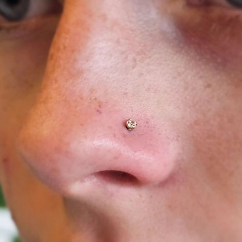 Classy little gold claw set cubic zirconia installed into this nostril piercing. 😍 Gold Nostril Piercing, Nostril Piercing, Cubic Zirconia, Gold, Quick Saves