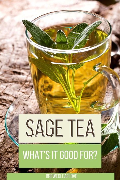 Homemade Tea Blends, Tea Blends Recipes, Herbal Tea Garden, Sage Recipes, Sage Tea, Herbal Remedies Recipes, Tea Burn, Medicinal Herbs Garden, Medicinal Tea