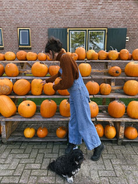 Pumpkin farm, cozy autumn vibes, fall aesthetic, pumpkins, dungarees Autumn Dungarees Outfit, Dungarees Outfit Autumn, Autumn Dungarees, Farm Outfit Aesthetic, Dungarees Aesthetic, Pumpkin Farm Outfit, Dungarees Outfit Aesthetic, Aesthetic Pumpkins, Farm Girl Outfits