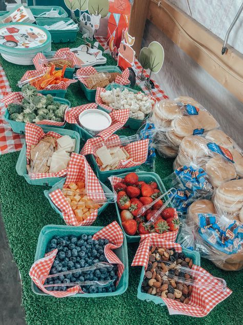 Farmers Market Party Table Decor, Farmer's Market Birthday Party, Farm Party Food Table, Farm Fruit Tray, Farmer Themed Birthday Party, Homestead Birthday Party, Farm Stand Birthday Party, Picnic Theme First Birthday, Farmers Market 2nd Birthday Party