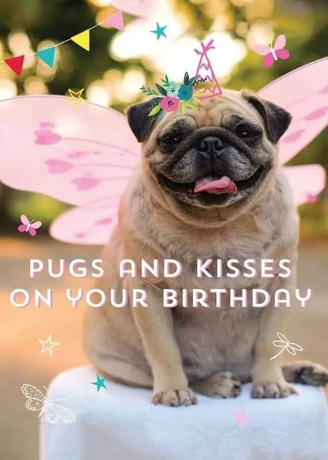 Happy Birthday Pug, Happy Birthday Mom From Daughter, Happy Birthday Puppy, Birthday Pug, Funny Happy Birthday Messages, Pug Birthday, Happy Birthday Sister Quotes, Funny Happy Birthday Wishes, Birthday Greetings Funny