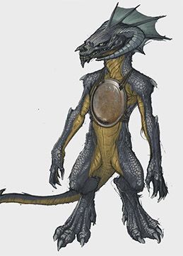 Black Kobold, Winged Kobold, Silver Kobold, Kobold Noble, Kobold Ranger Character Art, Red Kobold D&d, Dnd Dragonborn, Dragon Hunters, Greatest Villains