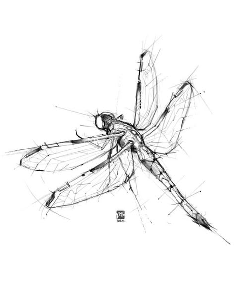 Drawing Suggestions, Skull Drawing Sketches, Fineliner Drawing, Dragonfly Drawing, Insect Tattoo, Dragonfly Art, Sketch Pencil, Sketches Pencil, Japanese Tattoos