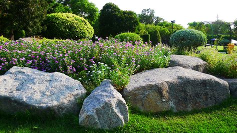 Grass Alternative, Lake House Exterior, Landscape Rocks, Lawn Alternatives, Wedding Background Images, Growing Vines, Landscaping With Boulders, Tiered Garden, Landscape Elements