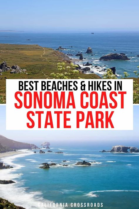 West Coast Travel, Napa Trip, Southern California Beaches, Cali Trip, Sonoma Coast, Russian River, Novel Inspiration, Travel Bucket List Usa, National Park Road Trip