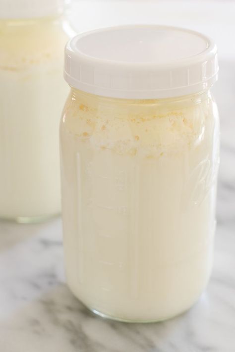 Kiefer Recipes, Milk Kefir Recipes, Kefir Benefits, Kefir Recipes, Menu Recipes, Kefir Grains, Sour Fruit, Milk Kefir, Water Kefir