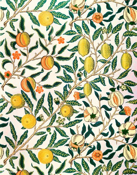 Fruit or Pomegranate by William Morris (1834-1896). Original from the The MET Museum. Digitally enhanced by rawpixel. | free image by rawpixel.com / The Metropolitan Museum of Art (Source) Pomegranate Poster, William Morris Wallpaper, William Morris Patterns, Koloman Moser, John Everett Millais, Morris Wallpapers, Daisy Wallpaper, William Morris Art, William Morris Designs