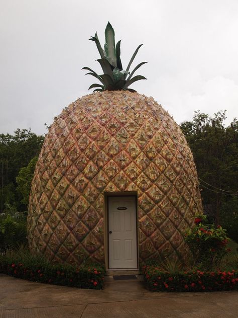 ✖ pineapple / Fruit-themed Hotel Resort in Thailand Thailand Resort, Vw Minibus, Spongebob House, Thailand Resorts, Nina Leen, Crazy Houses, Unusual Buildings, Thailand Hotel, Skyscraper Architecture