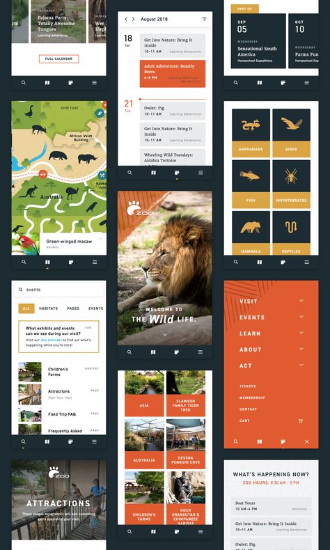 Zoo mobile website for dribbble full Zoo Website, Zoo Tickets, Zoo Games, Farm Fun, Ui Animation, App Landing Page, Booking App, Mobile Website, Splash Screen