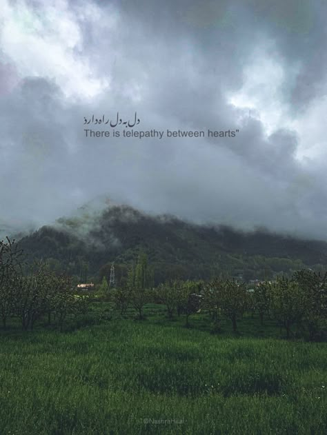 english kashmir proverb photography editing edits life aesthetics jungle green mountains sky clouds afghan persian turkey literature srinagar rain cloudy skelover aesthete dark grunge darkacademia Urdu Quotes For Instagram Bio, Deep Qoutes Of Life In Urdu, Insta Bio Ideas In Urdu, One Word Urdu Captions For Instagram, Urdu Bio For Instagram, Captions For Nature Pictures, Beautiful Words In Urdu, One Word Caption, One Word Instagram Captions