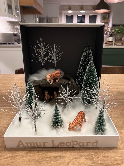 Artic Ecosystem Shoebox Project, Forest Model School Project, Arctic Habitat Diorama, Arctic Diorama For Kids, Diorama Arctic, Artic Animal Diarama, Tiger Habitat, Biomes Project, Diorama Kids